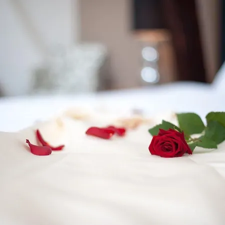 ホテル Gasterij Posthuys リールダム